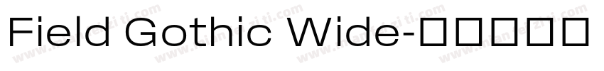 Field Gothic Wide字体转换